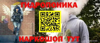 ALPHA PVP Ачхой-Мартан