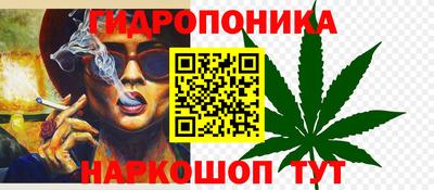 ALPHA PVP Ачхой-Мартан