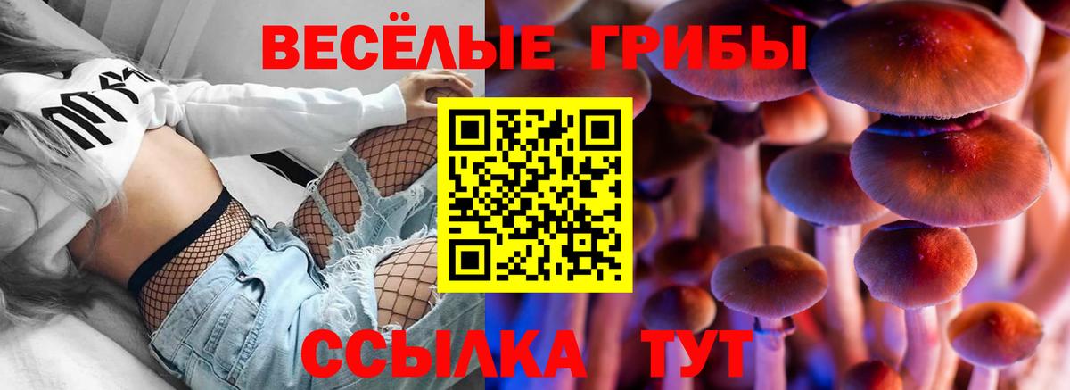 Городец  Галлюциногенные грибы мицелий  Галлюциногенные грибы Psilocybe  Вход с VPN 